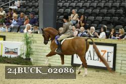 24BUCK_02086 proof