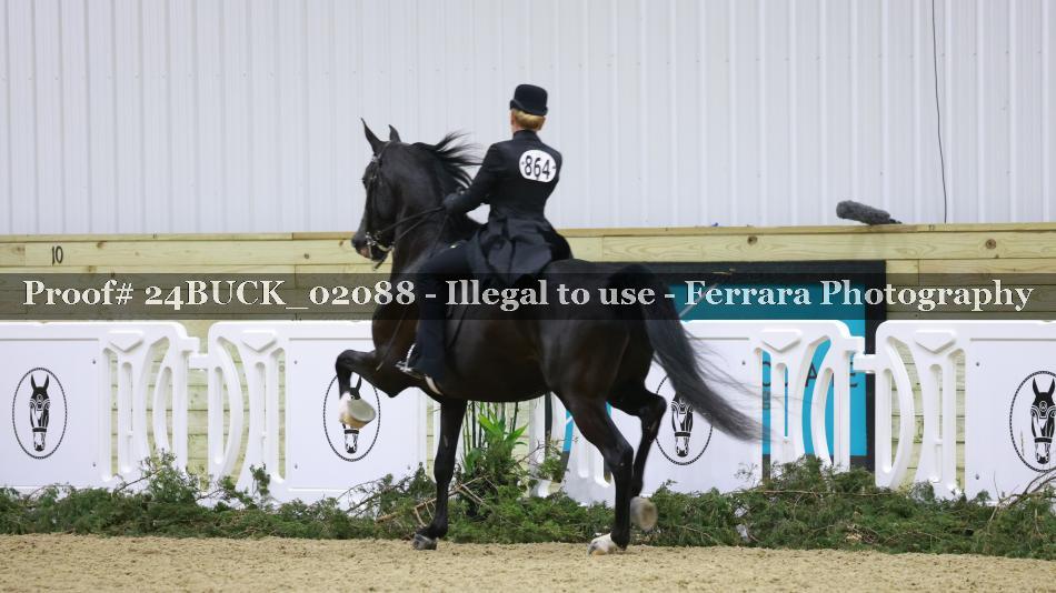 Proof 24BUCK_02088