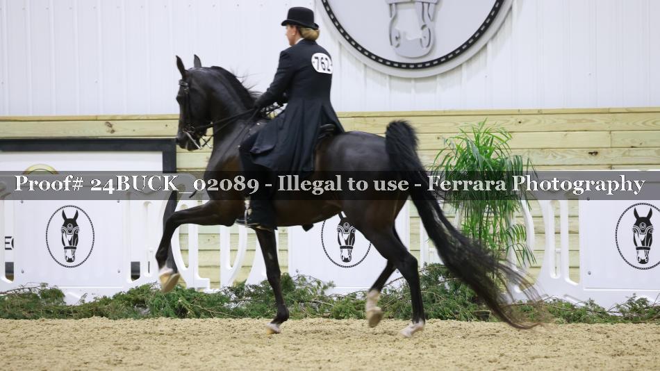Proof 24BUCK_02089