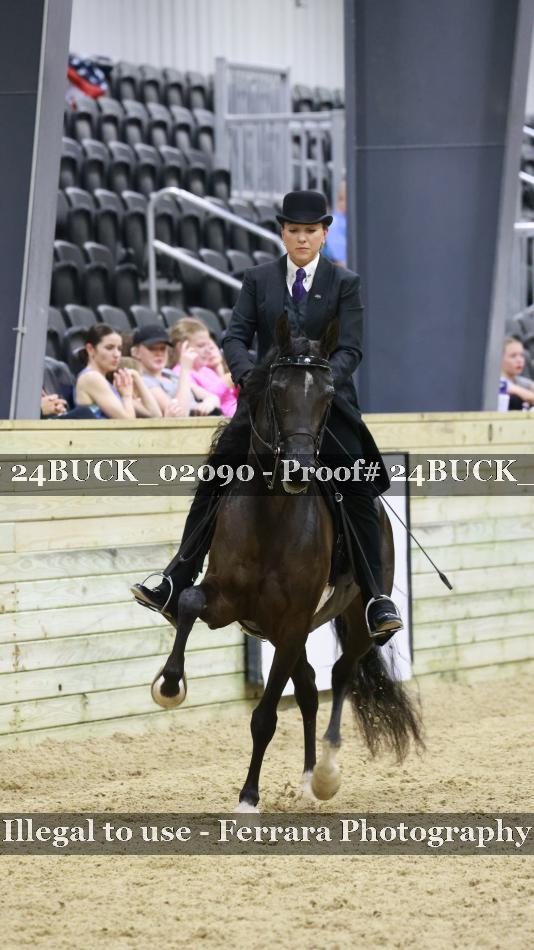 Proof 24BUCK_02090