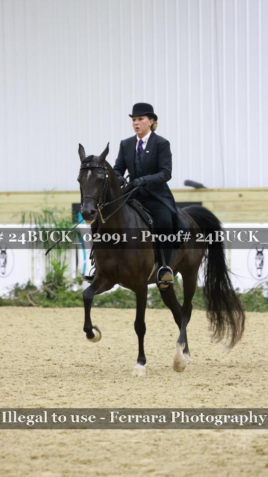 Proof 24BUCK_02091