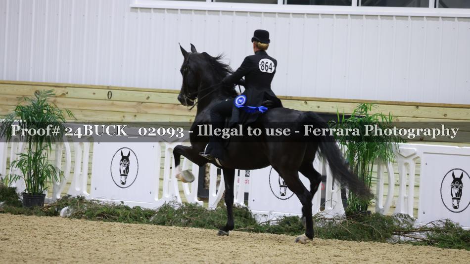 Proof 24BUCK_02093