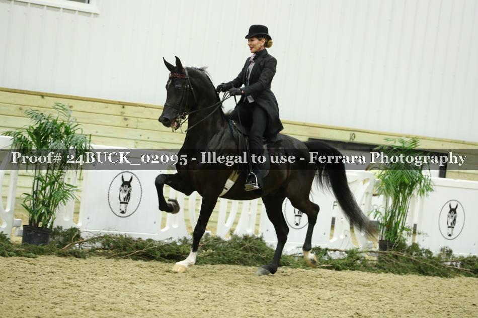 Proof 24BUCK_02095