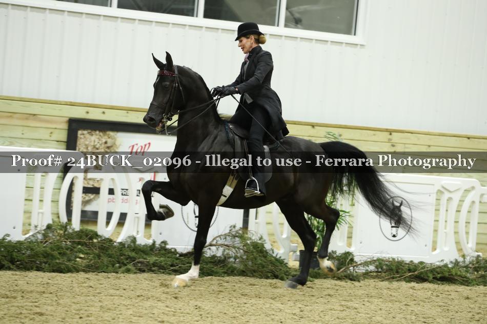 Proof 24BUCK_02096