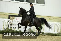24BUCK_02096 proof