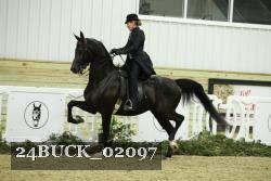 24BUCK_02097 proof