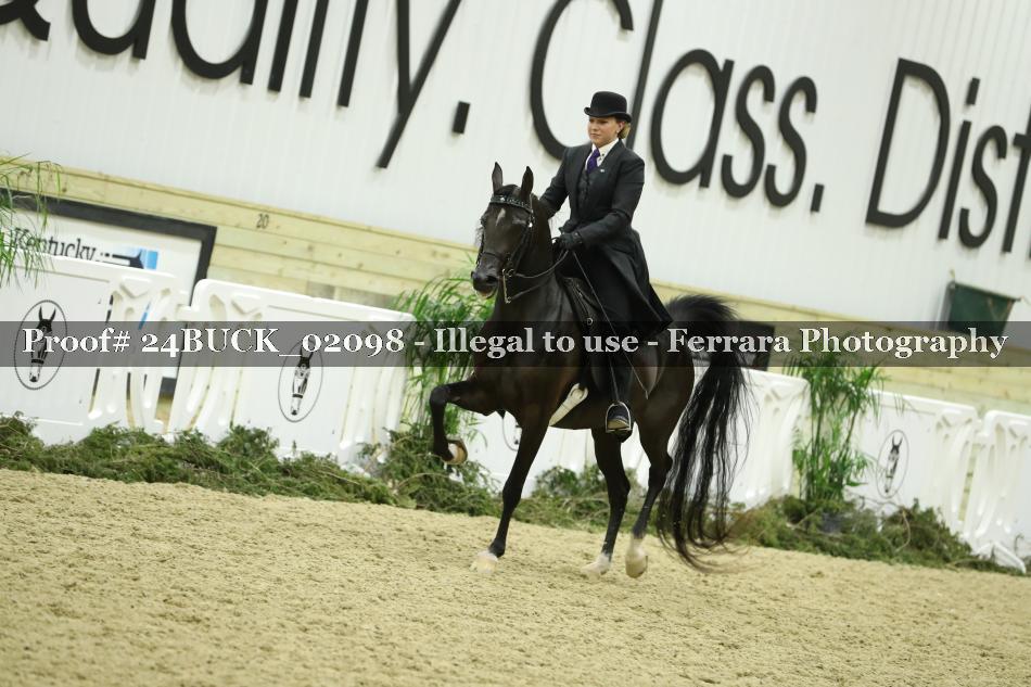 Proof 24BUCK_02098