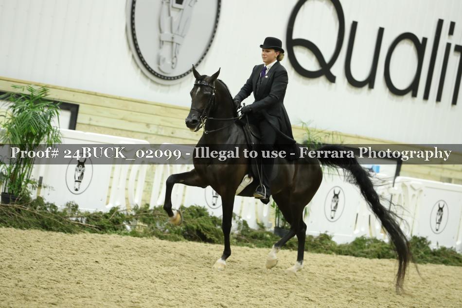 Proof 24BUCK_02099