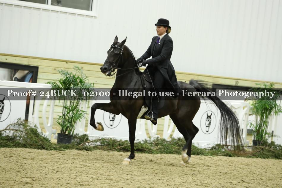 Proof 24BUCK_02100