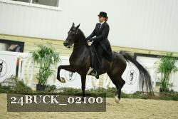 24BUCK_02100 proof