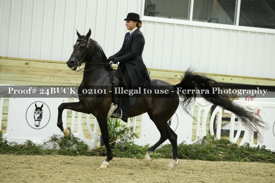 Proof 24BUCK_02101