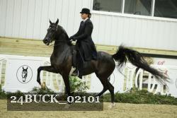 24BUCK_02101 proof