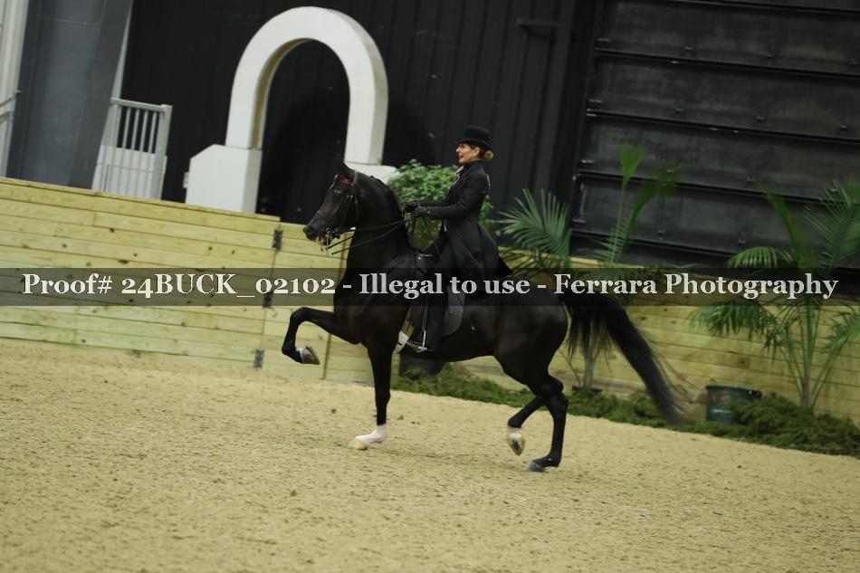 Proof 24BUCK_02102