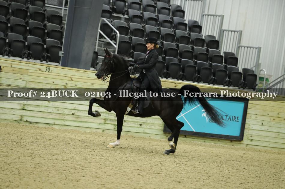 Proof 24BUCK_02103