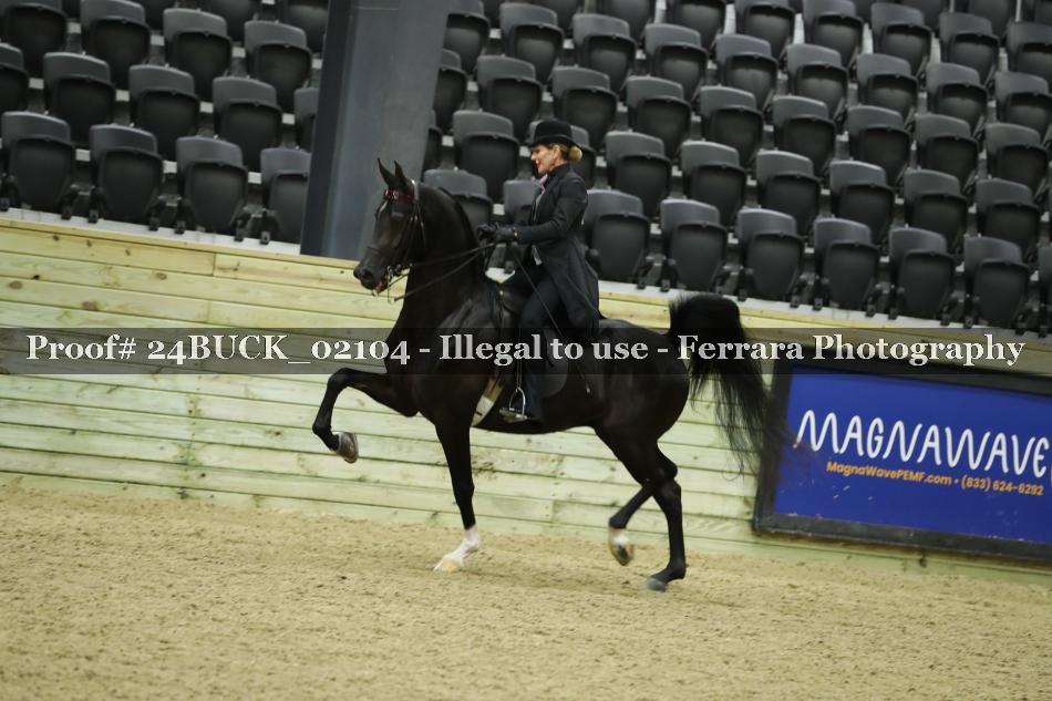 Proof 24BUCK_02104