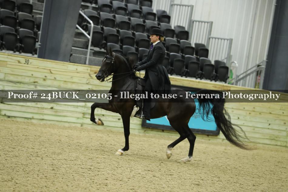 Proof 24BUCK_02105