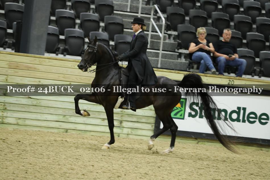 Proof 24BUCK_02106