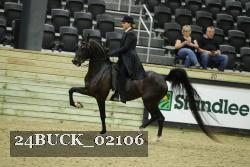 24BUCK_02106 proof
