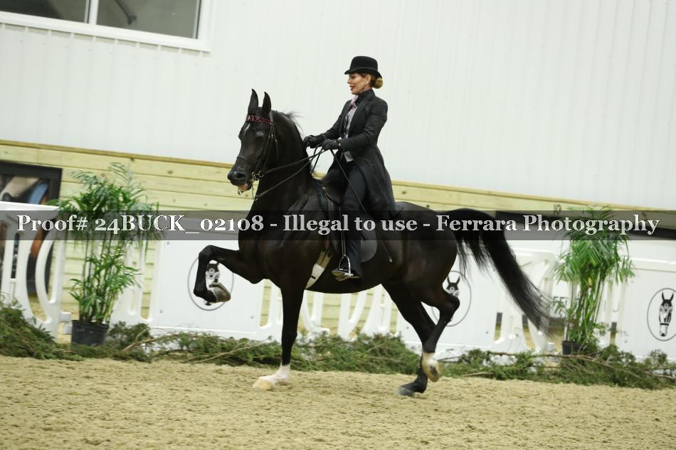 Proof 24BUCK_02108