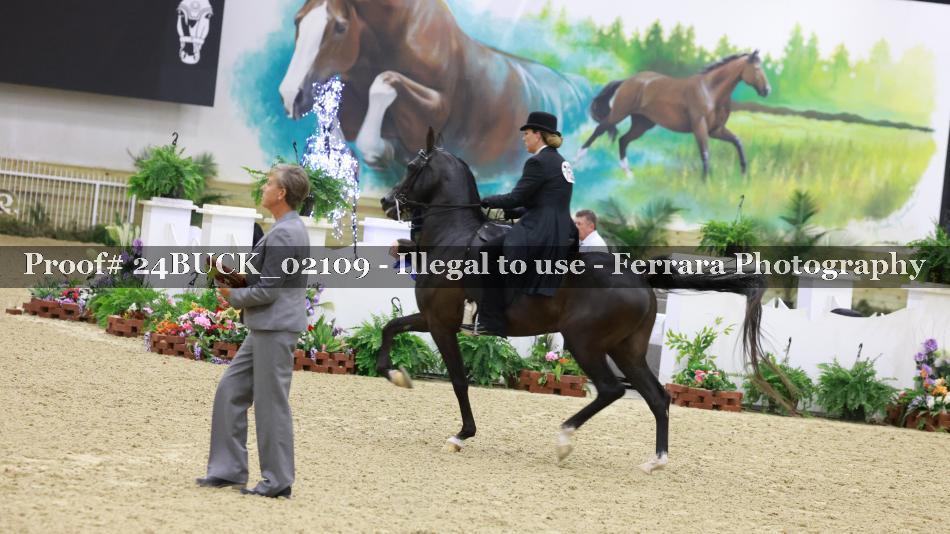 Proof 24BUCK_02109