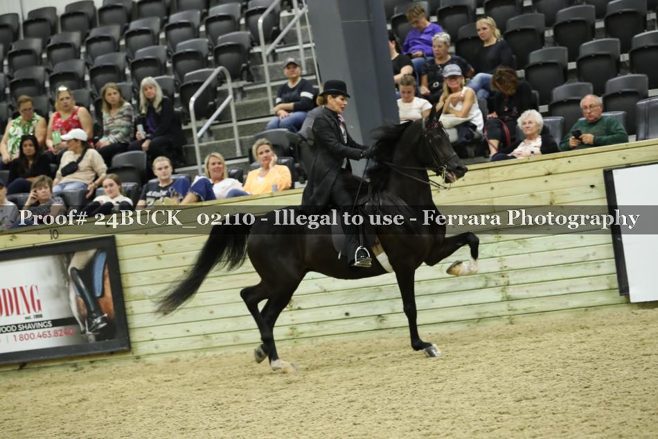Proof 24BUCK_02110