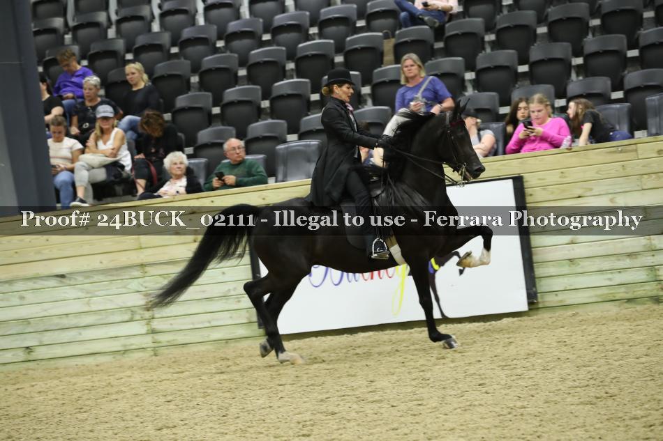 Proof 24BUCK_02111