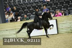 24BUCK_02111 proof