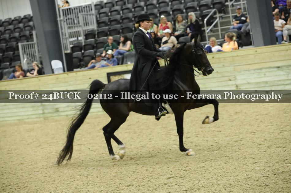 Proof 24BUCK_02112