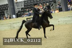 24BUCK_02112 proof