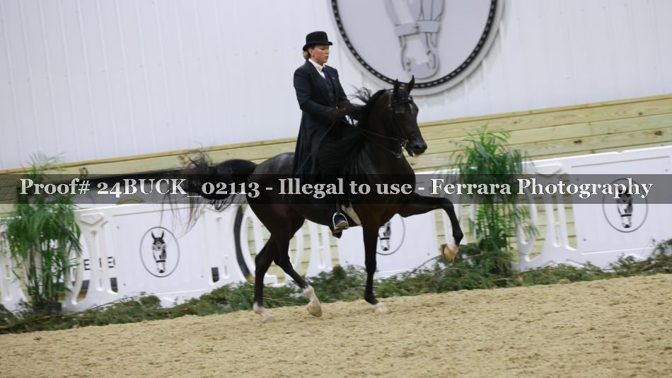 Proof 24BUCK_02113