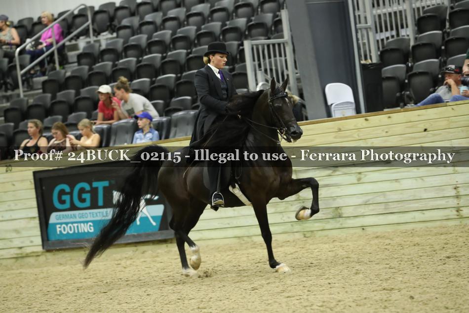 Proof 24BUCK_02115