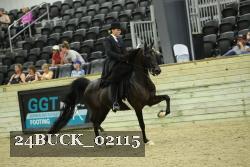 24BUCK_02115 proof
