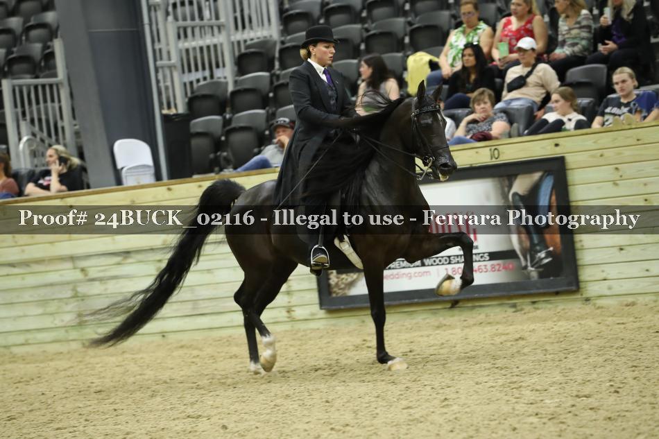 Proof 24BUCK_02116