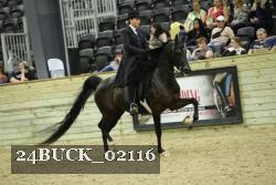 24BUCK_02116 proof