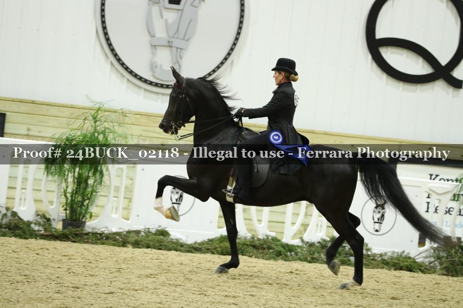 Proof 24BUCK_02118