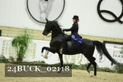 24BUCK_02118 proof