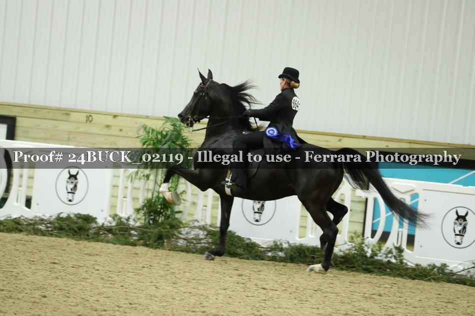 Proof 24BUCK_02119