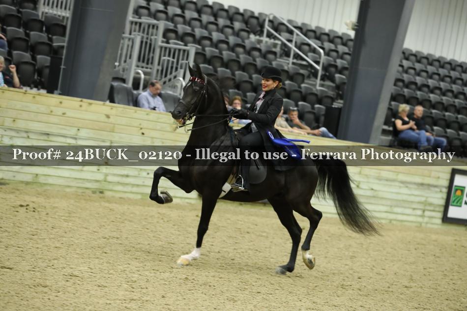Proof 24BUCK_02120