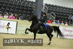 24BUCK_02123 proof