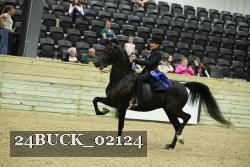 24BUCK_02124 proof