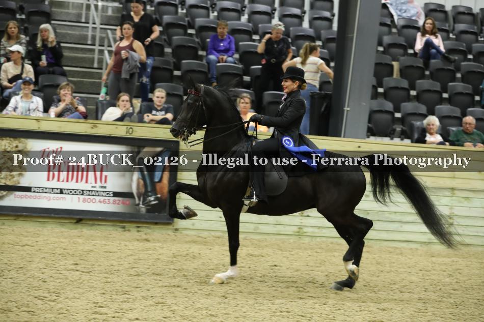 Proof 24BUCK_02126