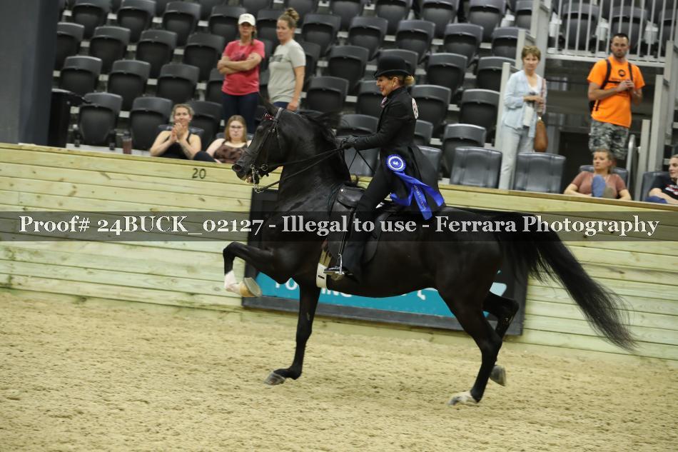 Proof 24BUCK_02127