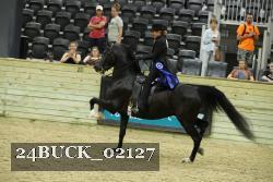 24BUCK_02127 proof