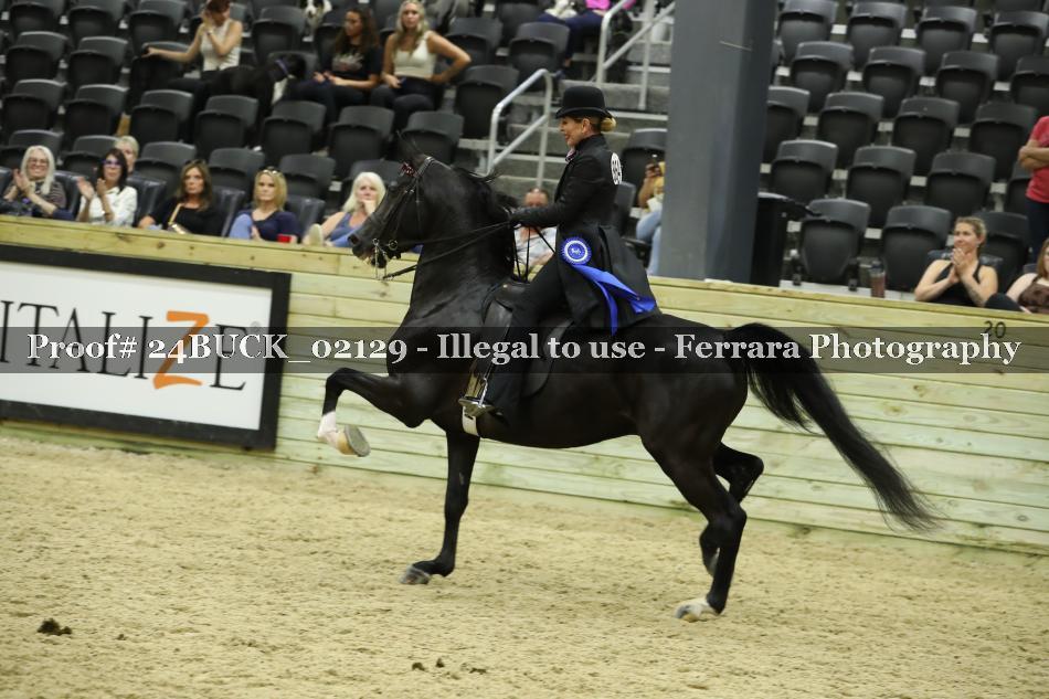 Proof 24BUCK_02129