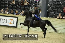 24BUCK_02129 proof