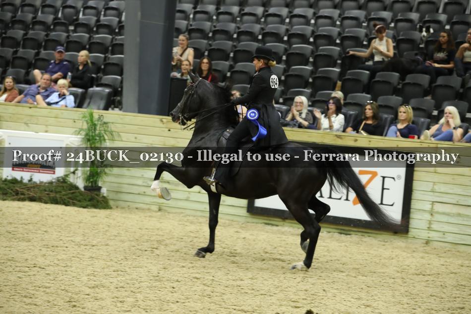 Proof 24BUCK_02130