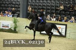 24BUCK_02130 proof