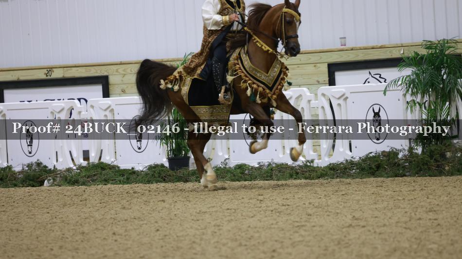 Proof 24BUCK_02146