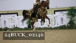 24BUCK_02146 proof