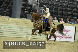 24BUCK_02157 proof